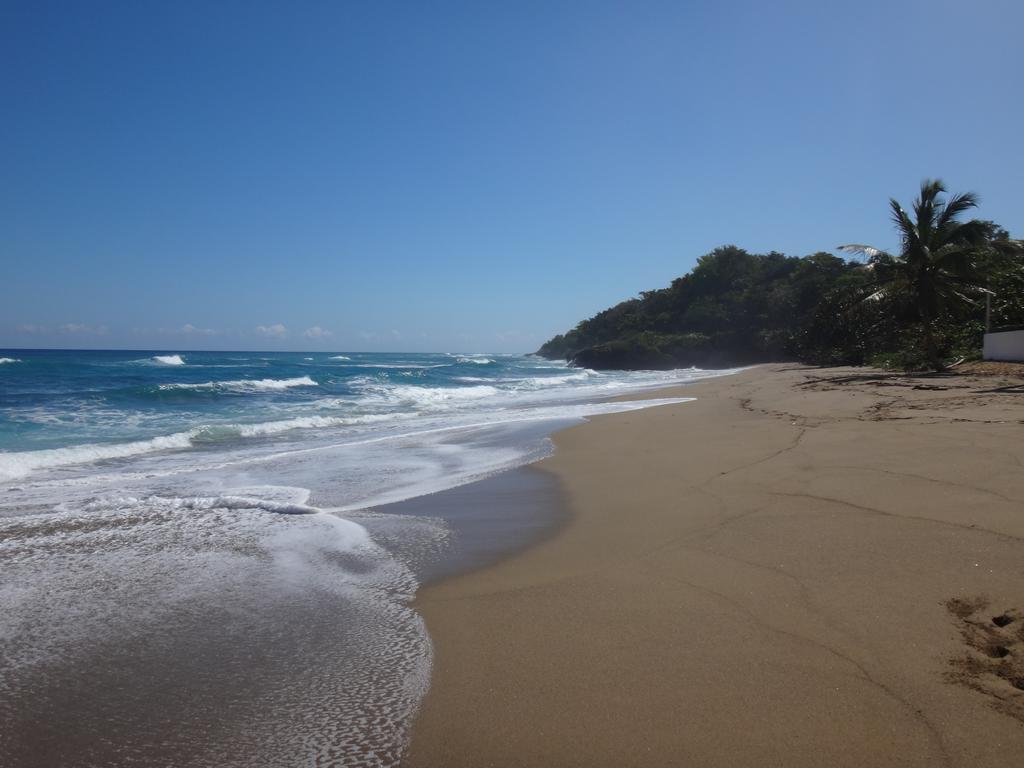 Garden By The Sea Bed & Breakfast Sosua Bagian luar foto
