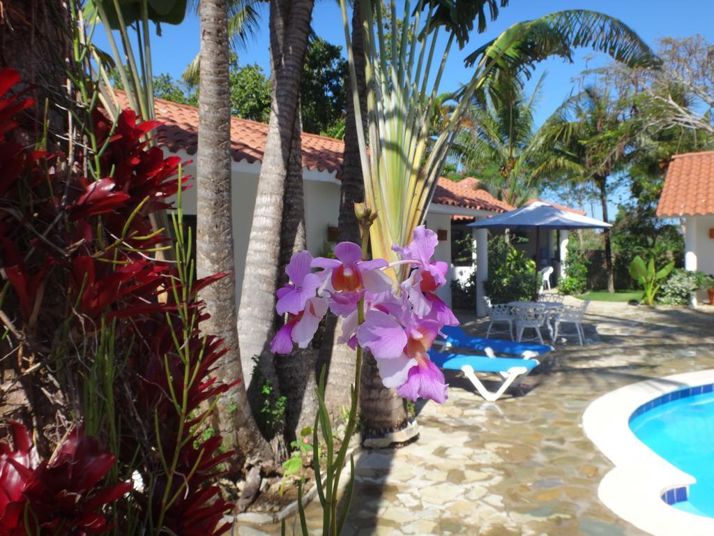 Garden By The Sea Bed & Breakfast Sosua Bagian luar foto